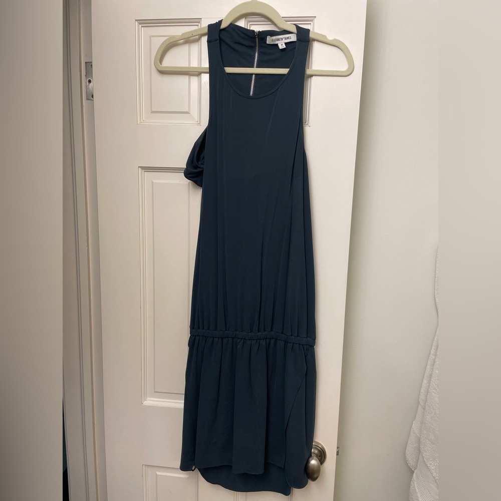 Elizabeth and James dropwaist dark green dress